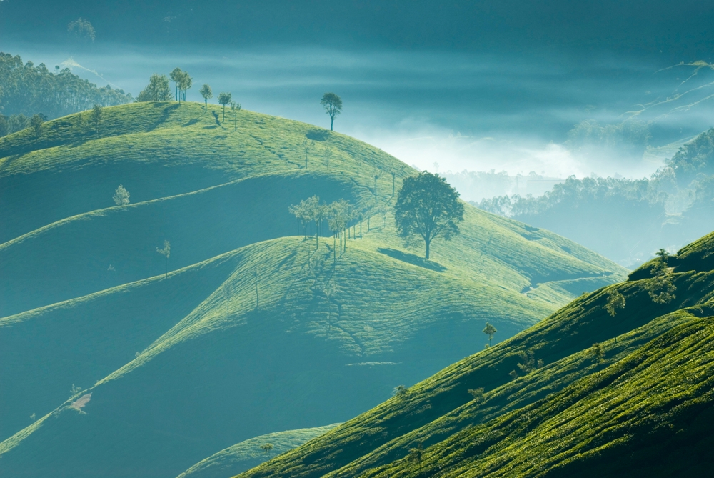 Yercaud